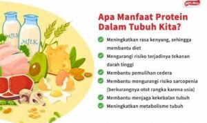 Protein Shake: Rahasia Otot Kuat dan Pemulihan Optimal