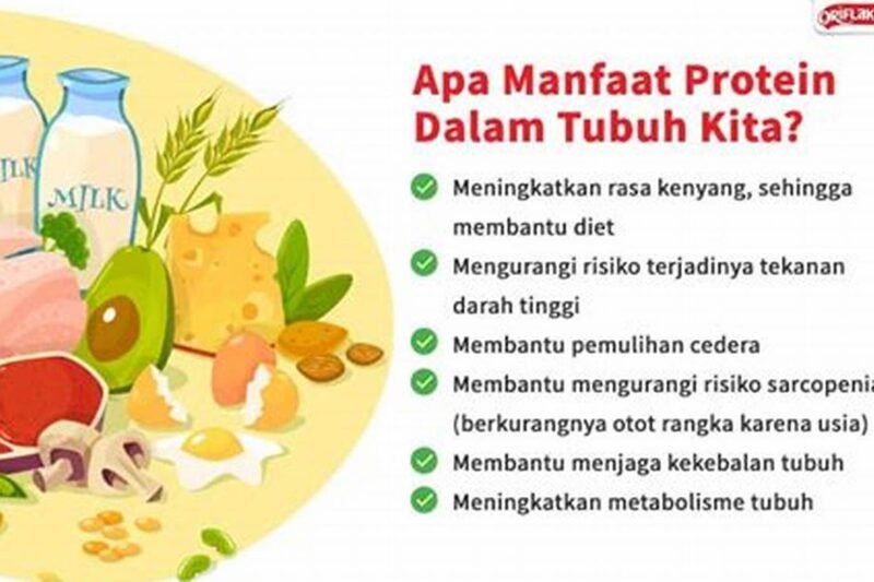 Protein Shake: Rahasia Otot Kuat dan Pemulihan Optimal