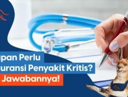Lanskap Asuransi Kesehatan 2024: Tantangan, Peluang, dan Arah Kebijakan